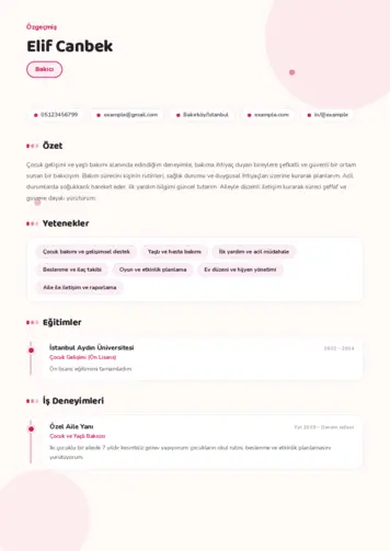 Bakıcı Cv Örnekleri cv indir